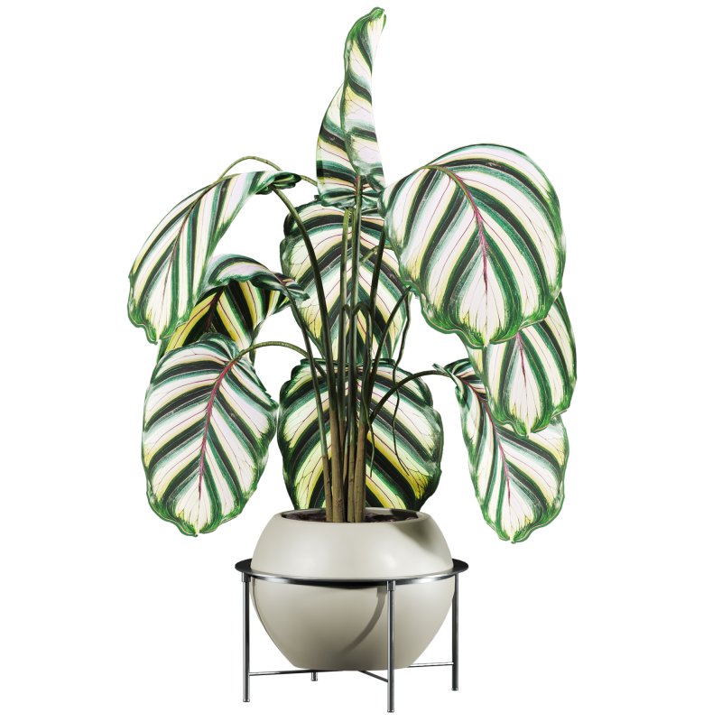 potted plant - Image 3