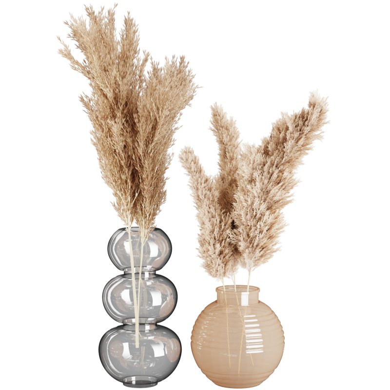 Minimal Pampas Bouquet in Glass Vase - Image 2