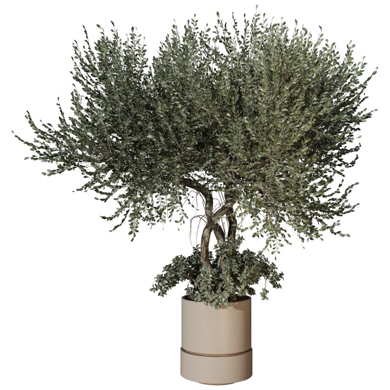 Decorative Indoor Plant and Ivy Branches in Pot - Image 2