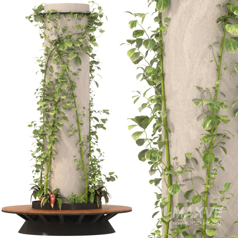 Ivy Column 02 - Image 7