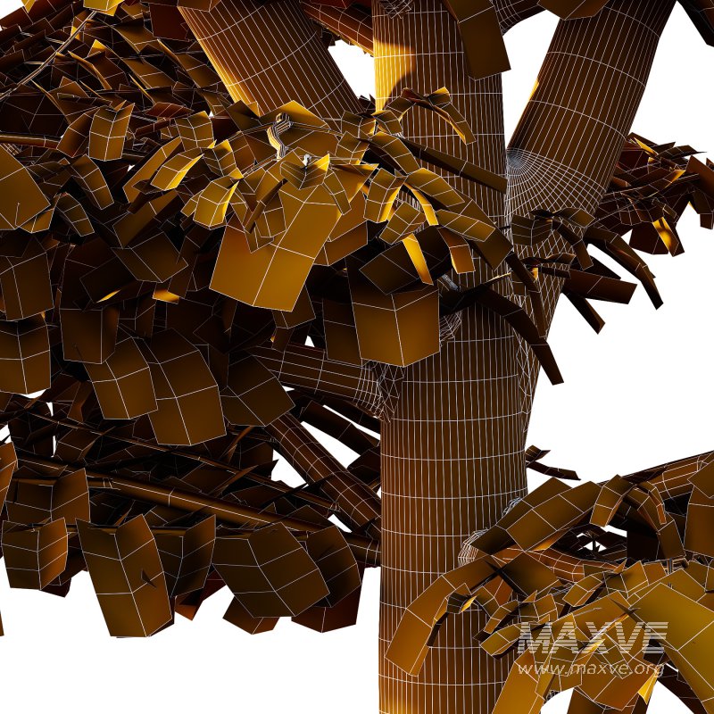 Different Trees 38 - Image 2