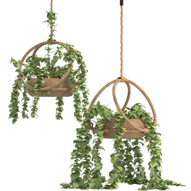 boho hanging plant 02 - Image 4