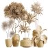 ntal foliage. Together, these plants form a versatile collection that balances bold textures with refined natural beauty. Presented in handcrafted stone-textured concrete planters, this set embodies sophistication and realism for architectural visualization. - Thumbnail 5