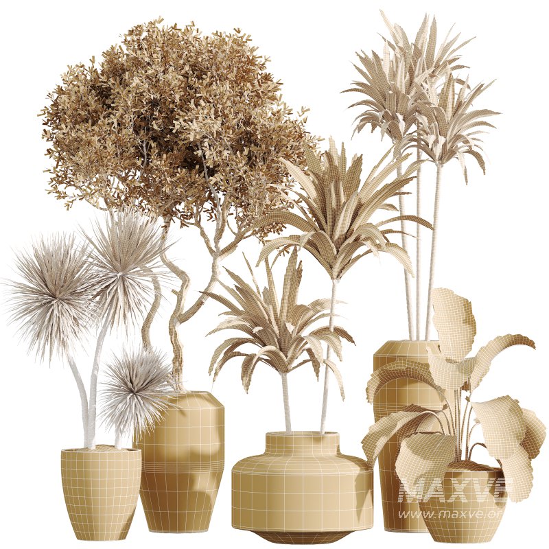 ntal foliage. Together, these plants form a versatile collection that balances bold textures with refined natural beauty. Presented in handcrafted stone-textured concrete planters, this set embodies sophistication and realism for architectural visualization. - Image 5