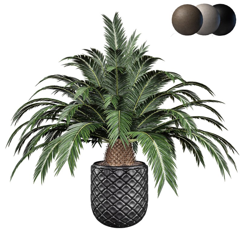 Indoor plant set 02 - Image 1