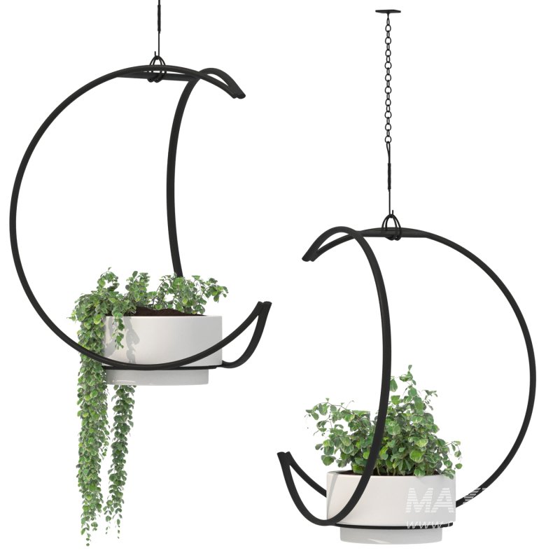 Metal Hanging Plants 04 - Image 4