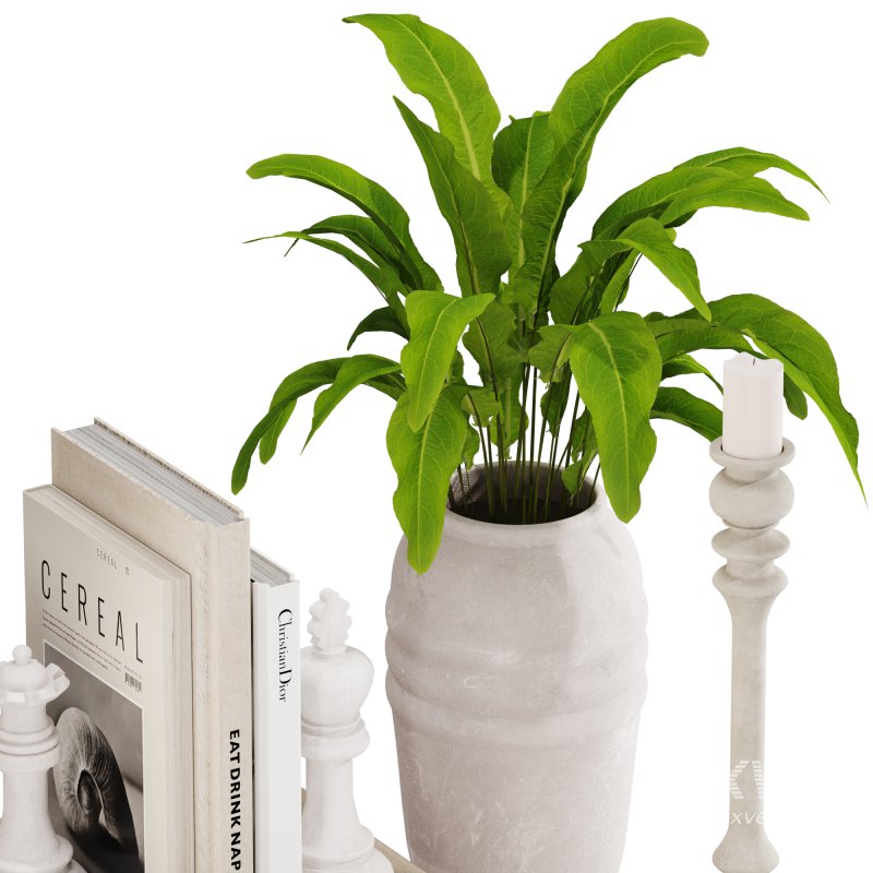 Modern and Minimal Decorative Set - Image 5