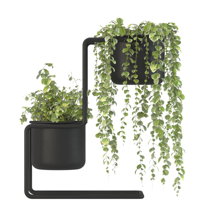 Plant Set 04 - Image 1