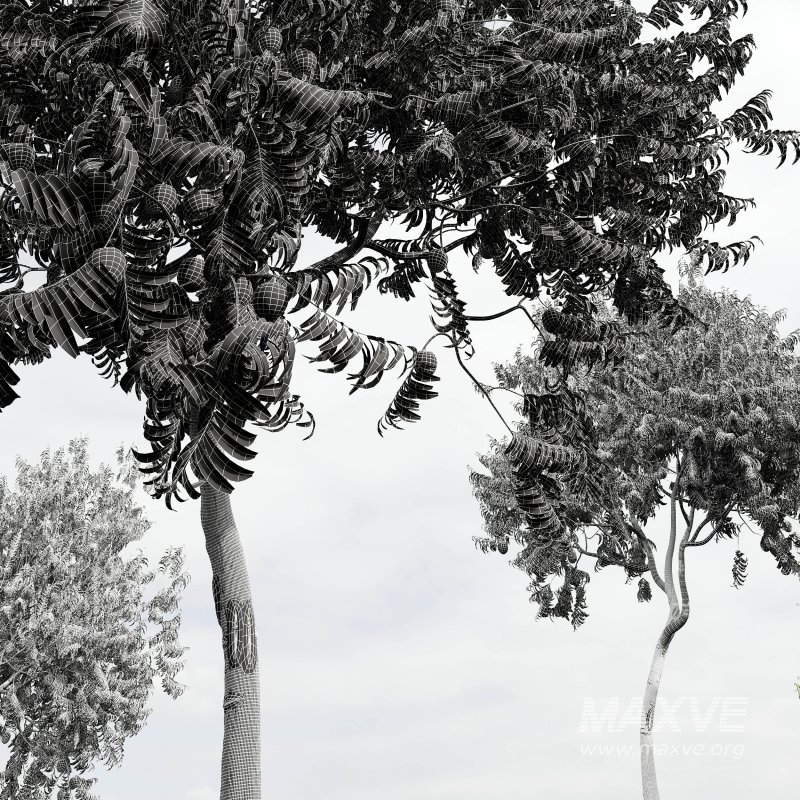 ntal charm. - Image 14