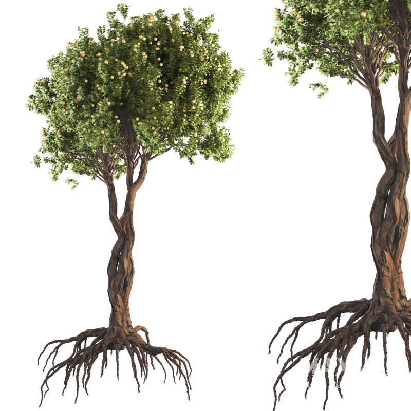 Jungle Fruit Tree and ivy plant - Image 2