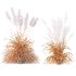 ntal grasses: Cortaderia Selloana (Pampas Grass) and Nassella Tenuissima (Mexican Feather Grass). With their graceful, airy plumes and gently arched green blades, these models are ideal for naturalistic landscapes, boho gardens, wild gardens, or accent planting. - Thumbnail 8