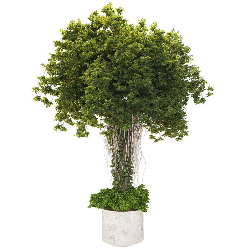 Decorative Indoor Plant and and Ivy Branches in Pot 02 - Image 2