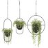 Metal Hanging Plants 01 - Thumbnail 3