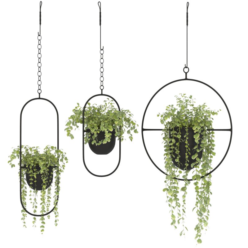 Metal Hanging Plants 01 - Image 3