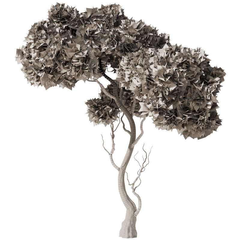 Pine tree Set34 - Image 3