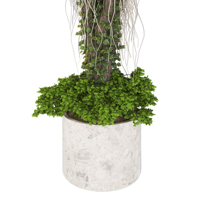 Decorative Indoor Plant and and Ivy Branches in Pot 02 - Image 3