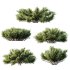 AV Plant Blue Sargent Juniper Parsoni Gallon Juniperus Sabina Chinensis - Thumbnail 2