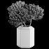 Pampas in Vase - Thumbnail 3