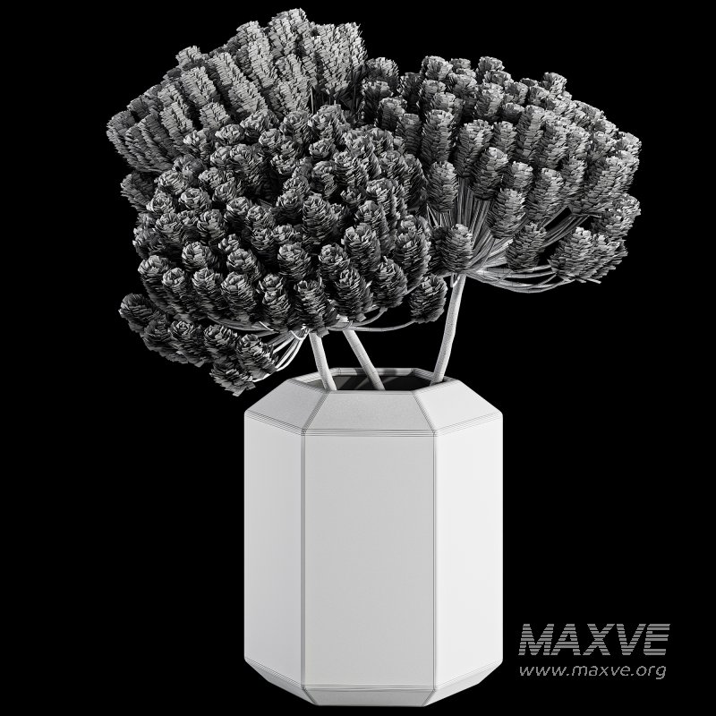 Pampas in Vase - Image 3