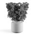 Pampas Bouquet with IKEA Vase - Thumbnail 3