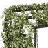 Ivy Plants Garden and Gazebo Swing - Thumbnail 2