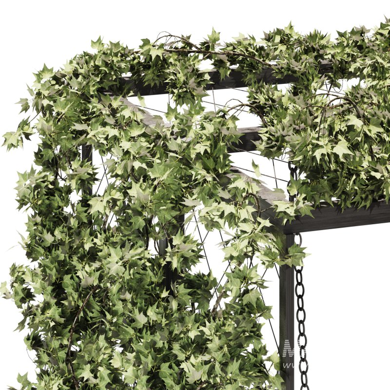 Ivy Plants Garden and Gazebo Swing - Image 2