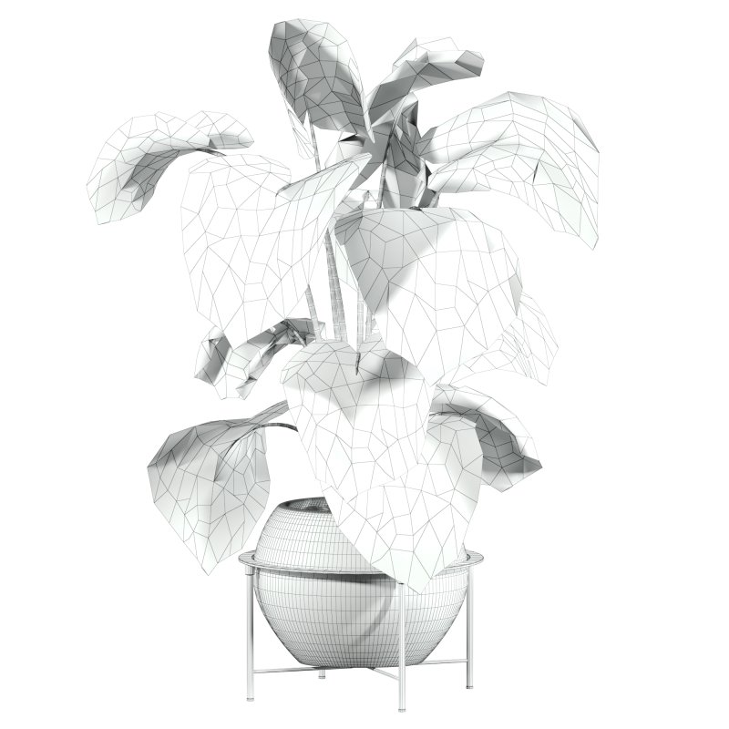 potted plant - Image 3