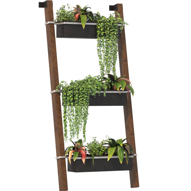 Plant Set 05 - Image 4