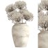 Minimal Pampas Bouquet in Vase - Thumbnail 1