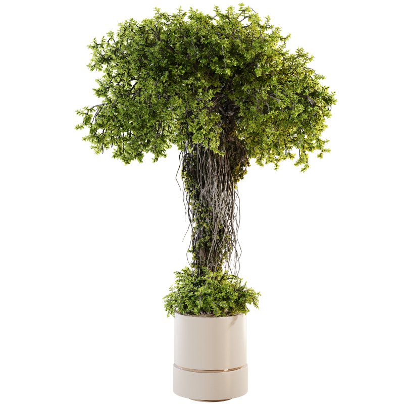 Ivy Branches in Cement Pot - Image 2