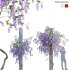 Petrea Volubilis – Queen’s Wreath – 01 - Thumbnail 1