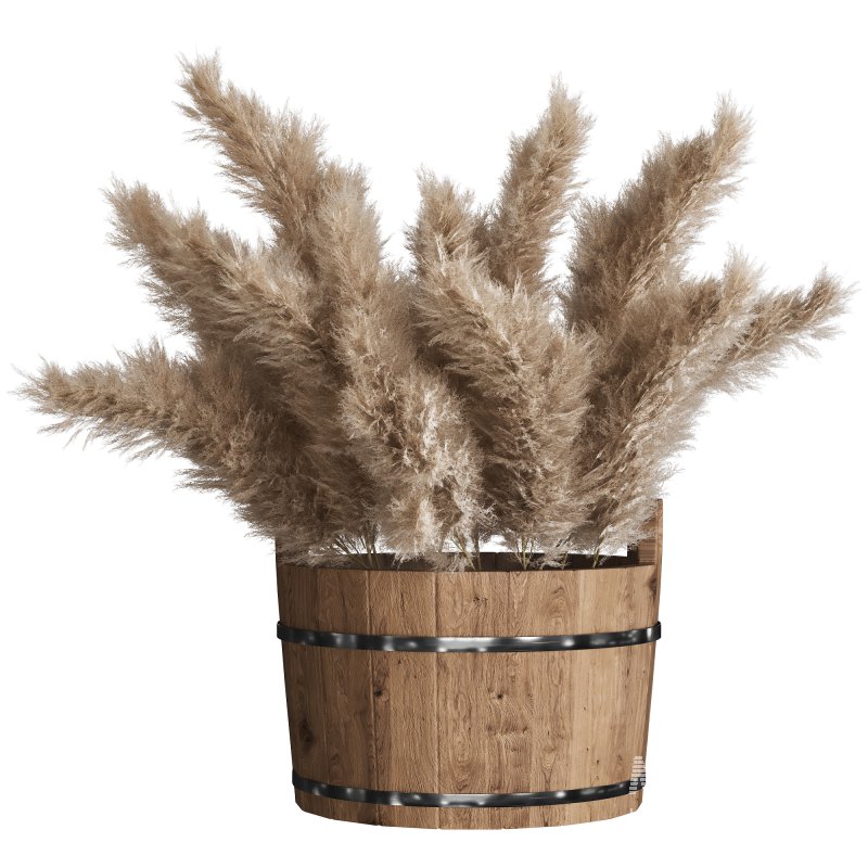 Light Cream Color Pampas Collection Set 23 - Image 1