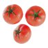 Tomato - Thumbnail 2