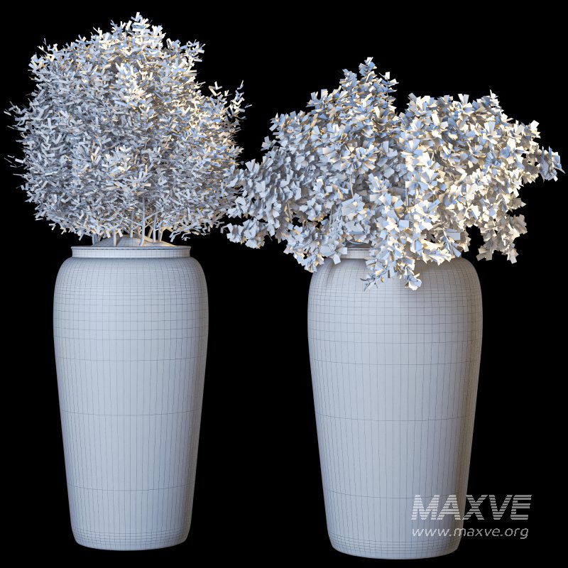 Outdoor Plant 010 - Image 6