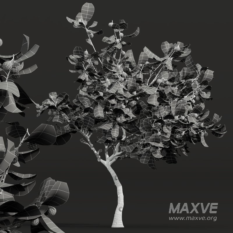 ntal uses. - Image 11