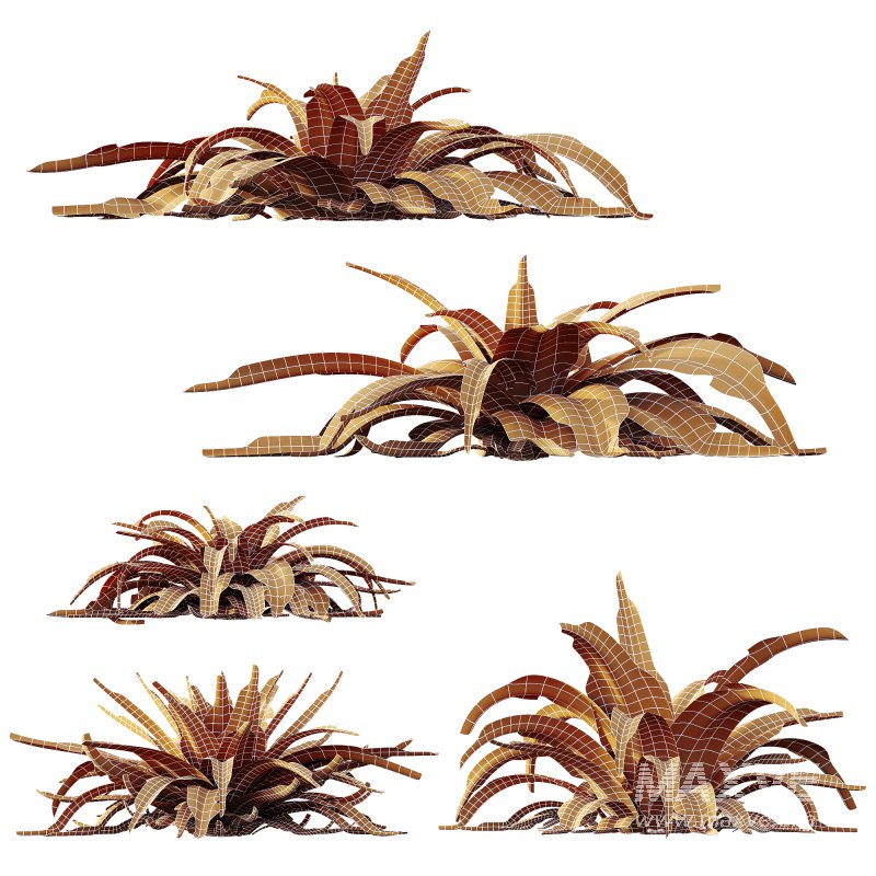 ntal plant admired for its wide, sword-like leaves in vibrant green shades. Native to woodland and shaded habitats, Carex Platyphylla is valued for its lush texture and architectural form, while the Astelia influence enhances its decorative appeal with broad foliage and striking volume. The elegant rosette structure makes this plant suitable for borders, garden beds, or modern planters, providing both softness and a bold visual statement. Modeled with precision and enhanced by 4K textures, this asset ensures high realism and versatility for both indoor and outdoor architectural visualizations. - Image 4