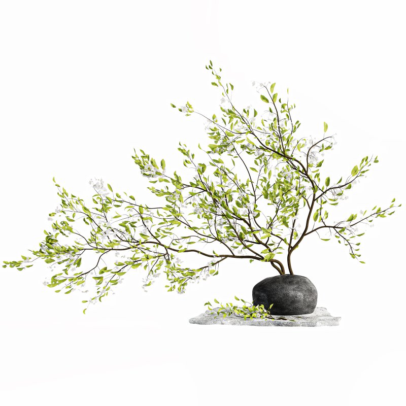 Bouquet Plant - Image 1