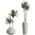 ntal foliage. Together, these plants form a versatile collection that balances bold textures with refined natural beauty. Presented in handcrafted stone-textured concrete planters, this set embodies sophistication and realism for architectural visualization. - Thumbnail 4