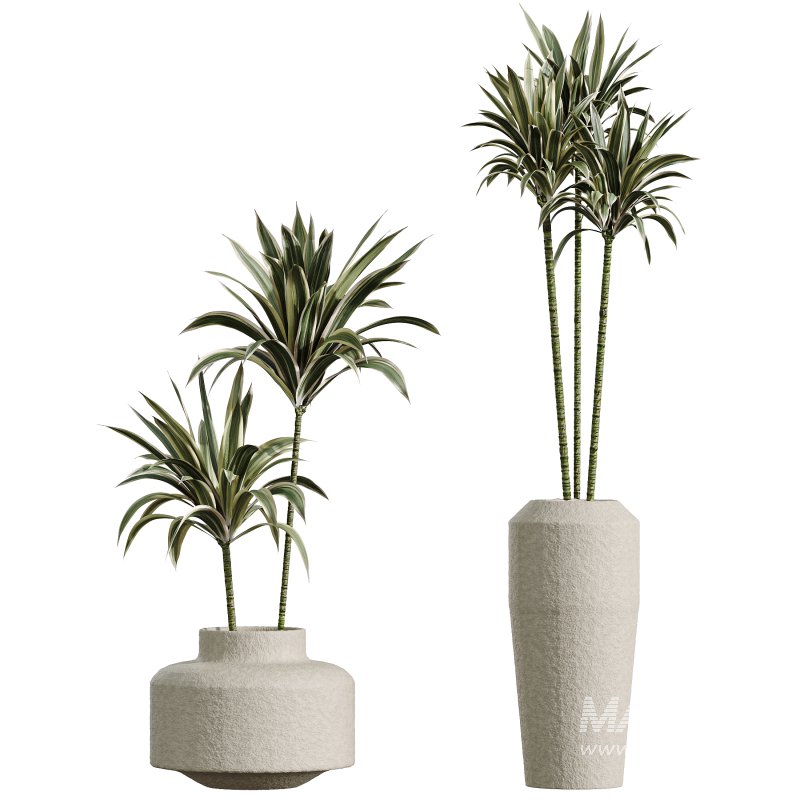 ntal foliage. Together, these plants form a versatile collection that balances bold textures with refined natural beauty. Presented in handcrafted stone-textured concrete planters, this set embodies sophistication and realism for architectural visualization. - Image 4