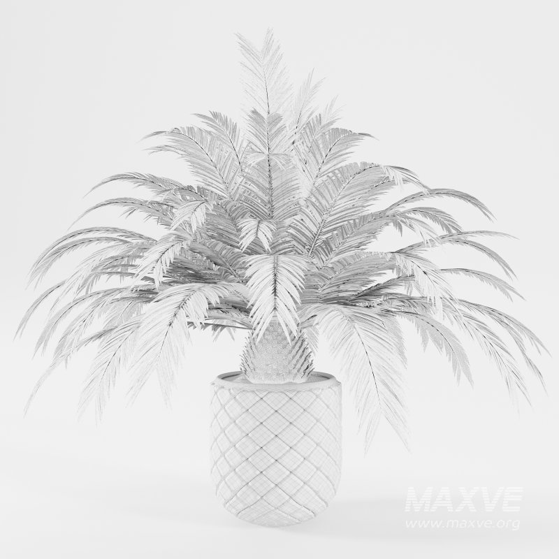 Indoor plant set 02 - Image 3