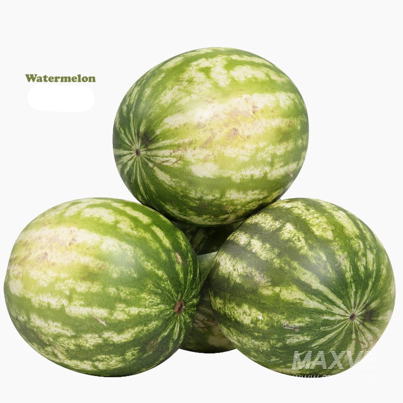 Watermelon - Image 1