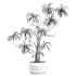 potted plant - Thumbnail 4