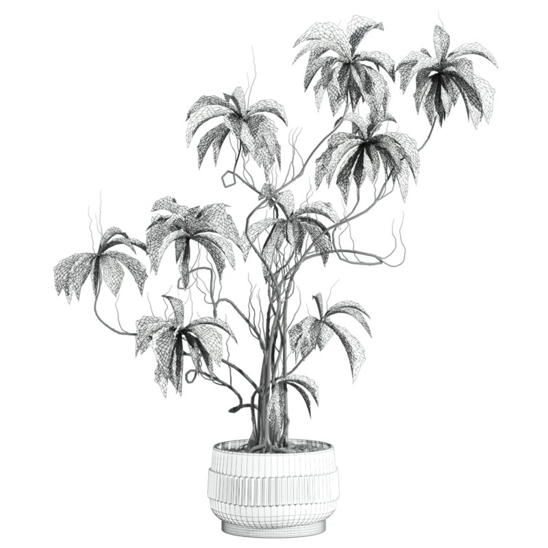 potted plant - Image 4