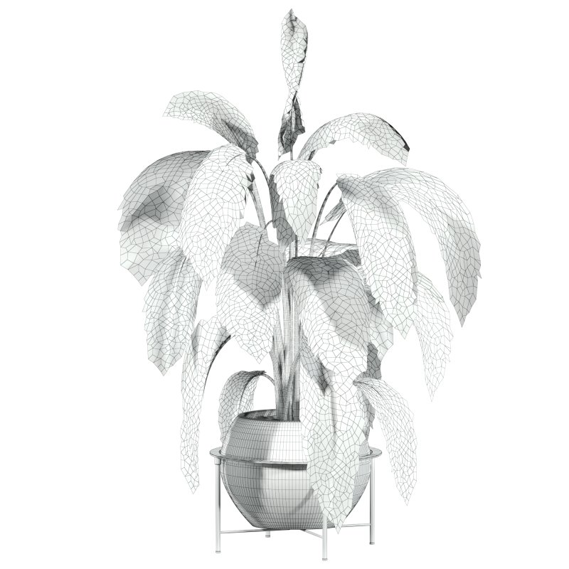 Potted plant - Image 4