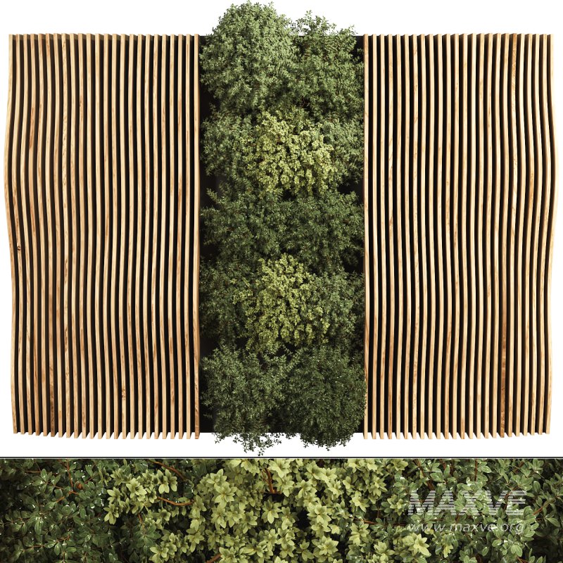 Vertical Garden - Image 1