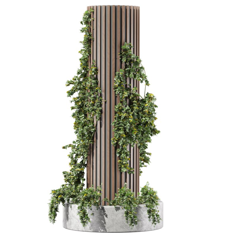 Ivy column - Image 2