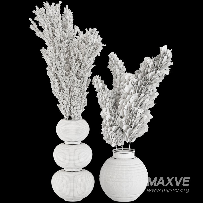 Minimal Pampas Bouquet in Glass Vase - Image 4