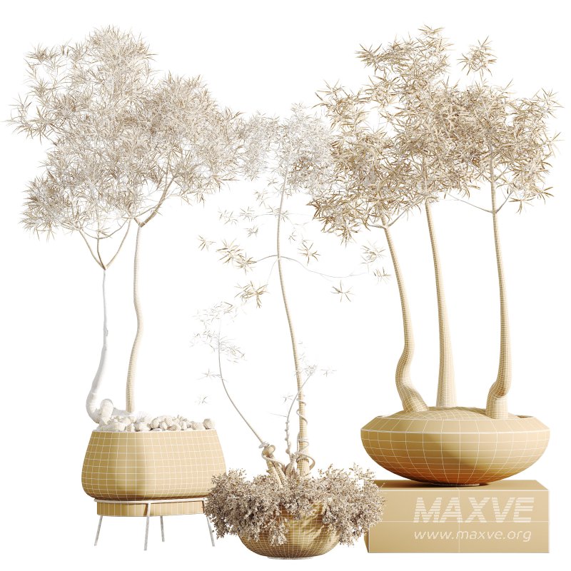 AV Indoor Plants Set 306 Japandi Decorative Minimalism Ficus Dracaena Marginata - Image 7