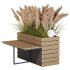 Outdoor Pampas And Grass Plants Set - Thumbnail 1