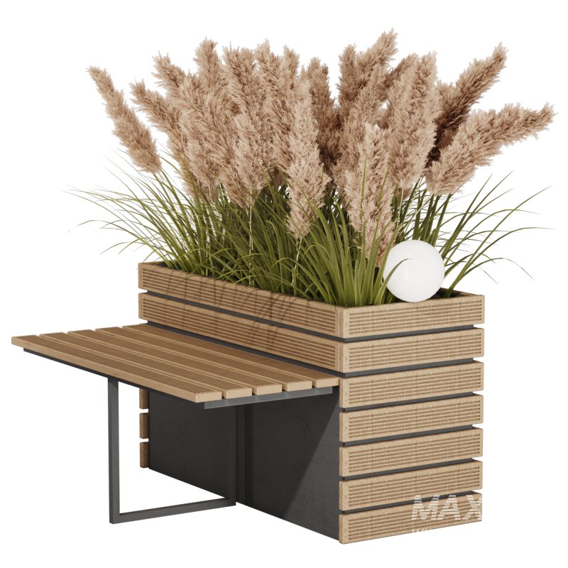 Outdoor Pampas And Grass Plants Set - Image 1